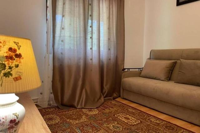 Casa Drencova Srl Daire Berzasca Dış mekan fotoğraf